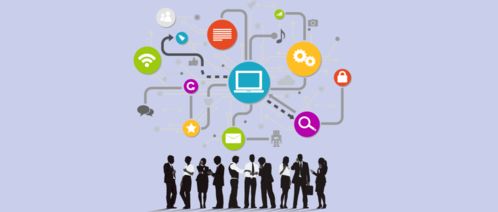 贝利云信息技术类别与市场环境分析