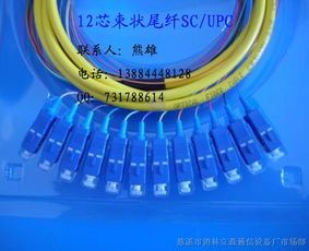 连接数字世界的桥梁 束状尾纤、光纤跳线与皮线光缆