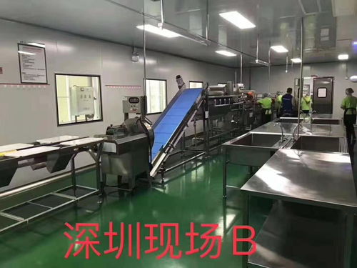 探寻莆田大型洗菜机厂家的信息技术之路
